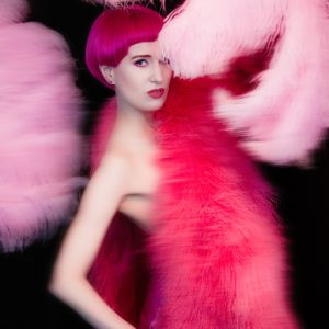 Like Fur & Feathers