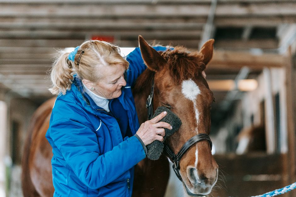 Elderly woman gently brushing a horse in a stable, showcasing a bond between human and ani
