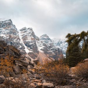 North Face Vs Columbia Winter Coats: North Face vs. Columbia: Best Coats for Extreme Cold in 2026