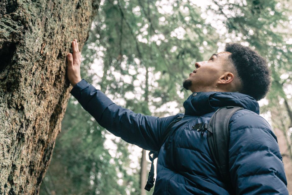 Man in a blue jacket touching tree bark in serene forest setting.