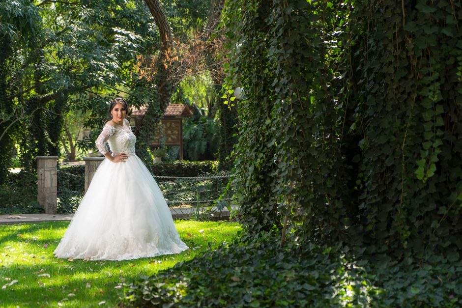 Beautiful bride in a wedding dress poses in a verdant garden on a sunny day.
