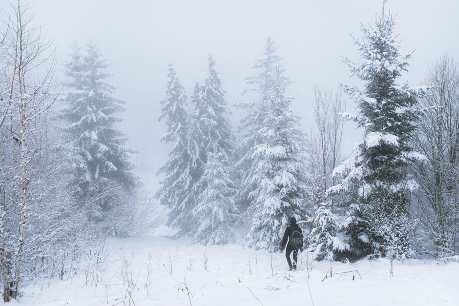 A man walks through a snow-covered forest in winter, embracing adventure.